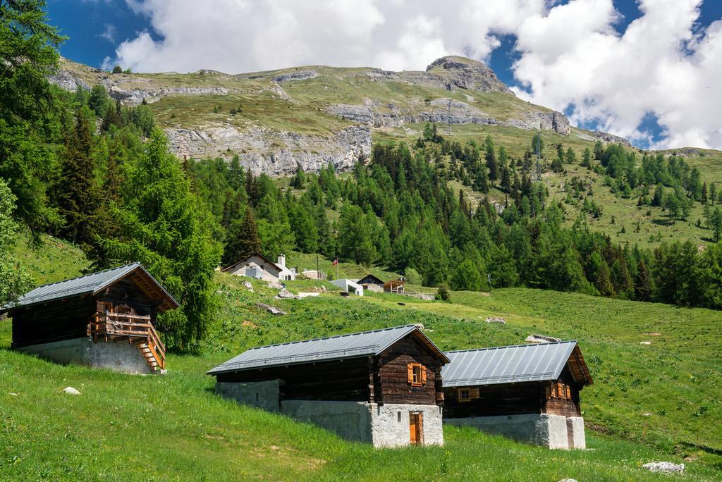Le Mayen De Colombire Crans-Montana Exterior photo