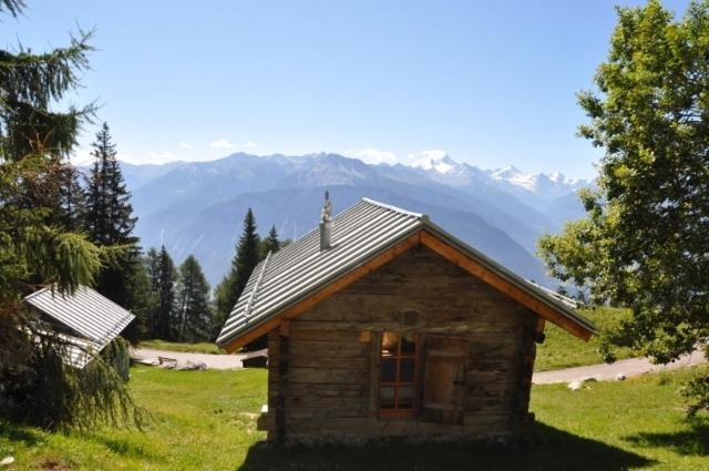 Le Mayen De Colombire Crans-Montana Exterior photo