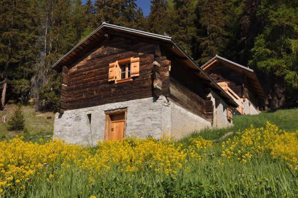 Le Mayen De Colombire Crans-Montana Exterior photo