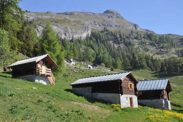 Le Mayen De Colombire Crans-Montana Exterior photo